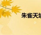 朱雀天境怎么过（朱雀天境）