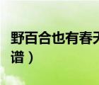 野百合也有春天简谱教唱（野百合也有春天简谱）