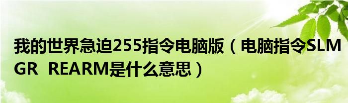 我的世界急迫255指令电脑版（电脑指令SLMGR  REARM是什么意思）