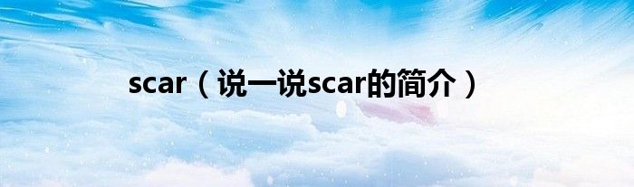 scar（说一说scar的简介）