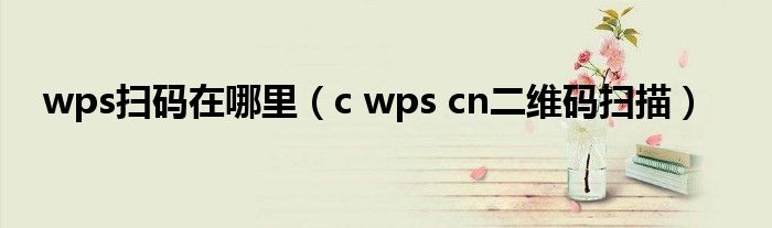 wps扫码在哪里（c wps cn二维码扫描）