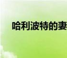 哈利波特的妻子是谁（哈利波特的妻子）