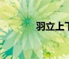羽立上下结构读什么（羽立）
