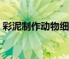 彩泥制作动物细胞模型（制作动物细胞模型）