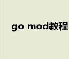 go mod教程（gomd盗版怎么加mod）