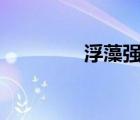 浮藻强男强女北倾谁有txt