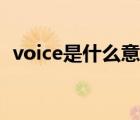 voice是什么意思翻译（voice是什么意思）