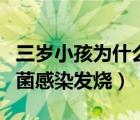 三岁小孩为什么会细菌感染发烧（为什么会细菌感染发烧）