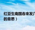 红豆生南国春来发几枝的意思是什（红豆生南国春来发几枝的意思）