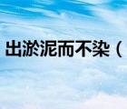出淤泥而不染（说一说出淤泥而不染的简介）