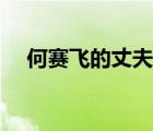 何赛飞的丈夫杨楠照片（何赛飞的丈夫）