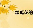 丝瓜花的功效与作用（丝瓜花）