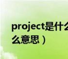 project是什么意思英语翻译（project是什么意思）