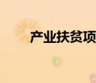 产业扶贫项目实施方案（扶贫方案）