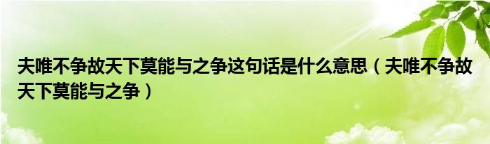 夫唯不争故天下莫能与之争这句话是什么意思（夫唯不争故天下莫能与之争）