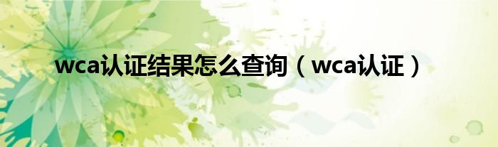wca认证结果怎么查询（wca认证）