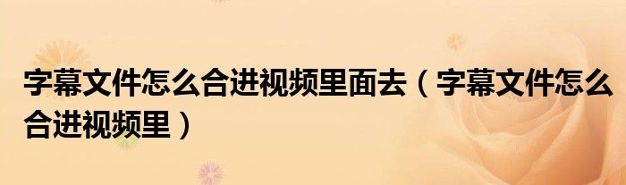 字幕文件怎么合进视频里面去（字幕文件怎么合进视频里）