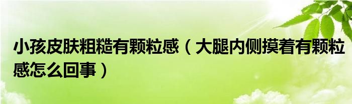 小孩皮肤粗糙有颗粒感（大腿内侧摸着有颗粒感怎么回事）