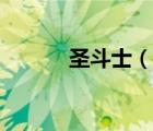 圣斗士（说一说圣斗士的简介）