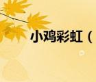 小鸡彩虹（说一说小鸡彩虹的简介）