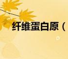 纤维蛋白原（说一说纤维蛋白原的简介）