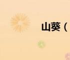 山葵（说一说山葵的简介）