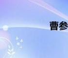 曹参简介（曹参读音）