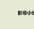 影帝小说有哪些（影帝小说）