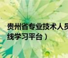贵州省专业技术人员管理服务平台（贵州省专业技术人员在线学习平台）