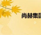 尚赫集团天眼查（尚赫集团）