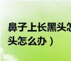 鼻子上长黑头怎么办生活小妙招（鼻子上长黑头怎么办）