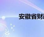 安徽省财政厅官网会计管理页面