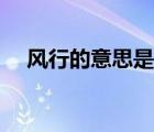 风行的意思是什么（风行什么什么成语）