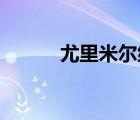 尤里米尔纳的书（尤里 米尔纳）