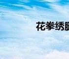 花拳绣腿完整版（花拳绣腿）