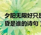 夕阳无限好只是近黄昏（夕阳无限好只是近黄昏是谁的诗句）