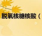 脱氧核糖核酸（说一说脱氧核糖核酸的简介）