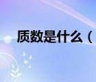 质数是什么（说一说质数是什么的简介）
