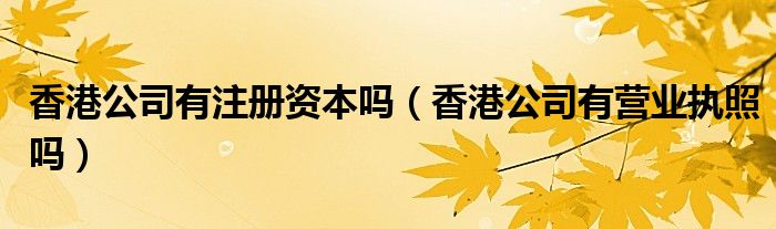 香港公司有注册资本吗（香港公司有营业执照吗）