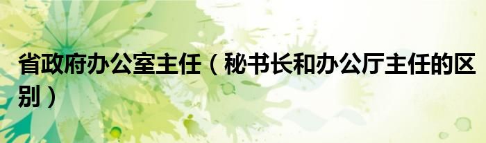 省政府办公室主任（秘书长和办公厅主任的区别）