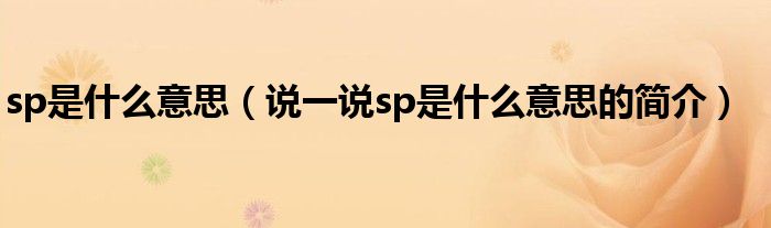 sp是什么意思（说一说sp是什么意思的简介）