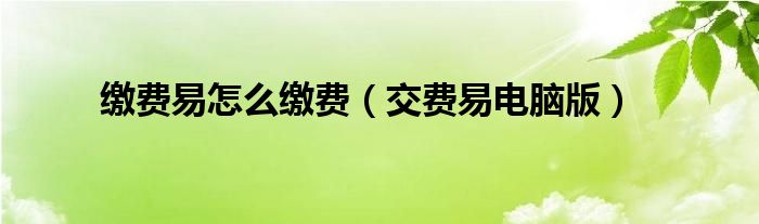 缴费易怎么缴费（交费易电脑版）