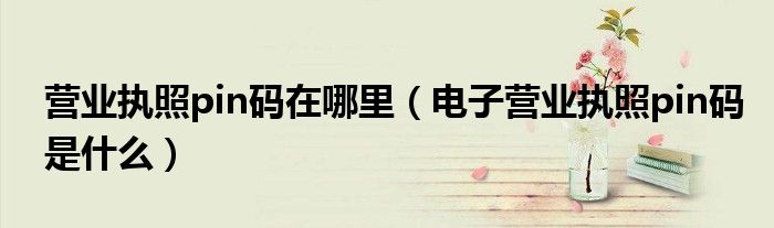 营业执照pin码在哪里（电子营业执照pin码是什么）