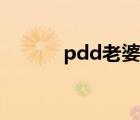 pdd老婆庆祝生日（pdd老婆）