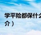 学平险都保什么（说一说学平险都保什么的简介）