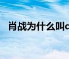 肖战为什么叫daytoy（daytoy什么意思）