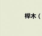 榉木（说一说榉木的简介）