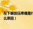 左下腹按压疼痛是什么原因男性（男性突然左下腹剧痛是什么原因）