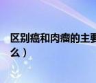 区别癌和肉瘤的主要依据是什么（癌与肉瘤的主要区别是什么）