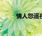情人怨遥夜的意思（情人怨遥夜）
